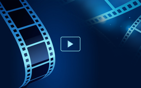 Hướng dẫn đăng ký tuyển sinh năm học 2024 - 2025